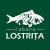 Cabana Lostrita Stanceni